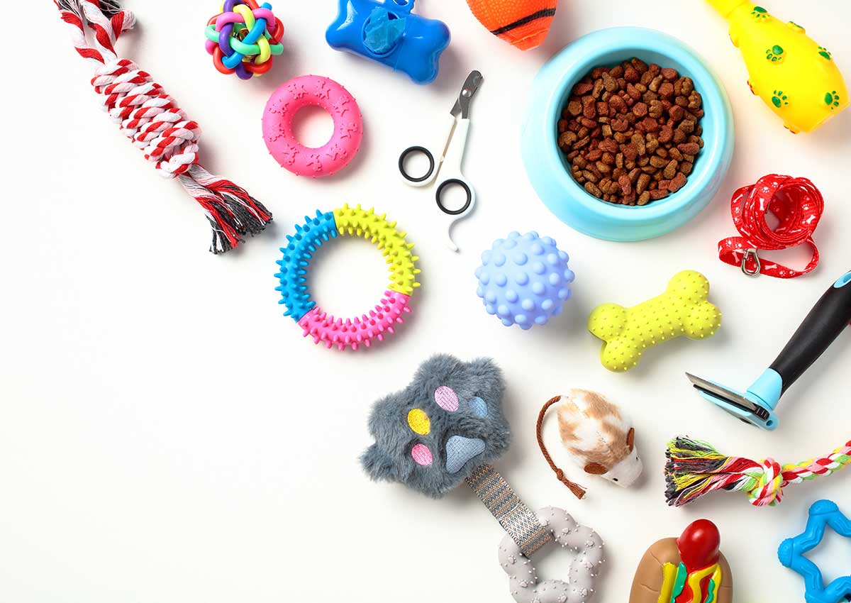 Les accessoires pour animaux de compagnie : des options variées pour gâter vos fidèles compagnons
